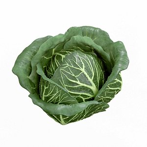 Cabbage 3D model