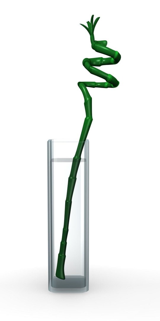 bamboo lucky vase 3d dxf https://p.turbosquid.com/ts-thumb/uE/05YKEr/Q72cPWBa/luckybamboovase_render/jpg/1292599678/1920x1080/fit_q87/f5d5fa7e185eb6e0d333b67f53b63c6e730afc4c/luckybamboovase_render.jpg