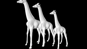giraffe 3D