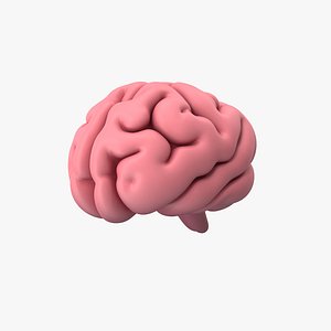 3D Brain Stylized
