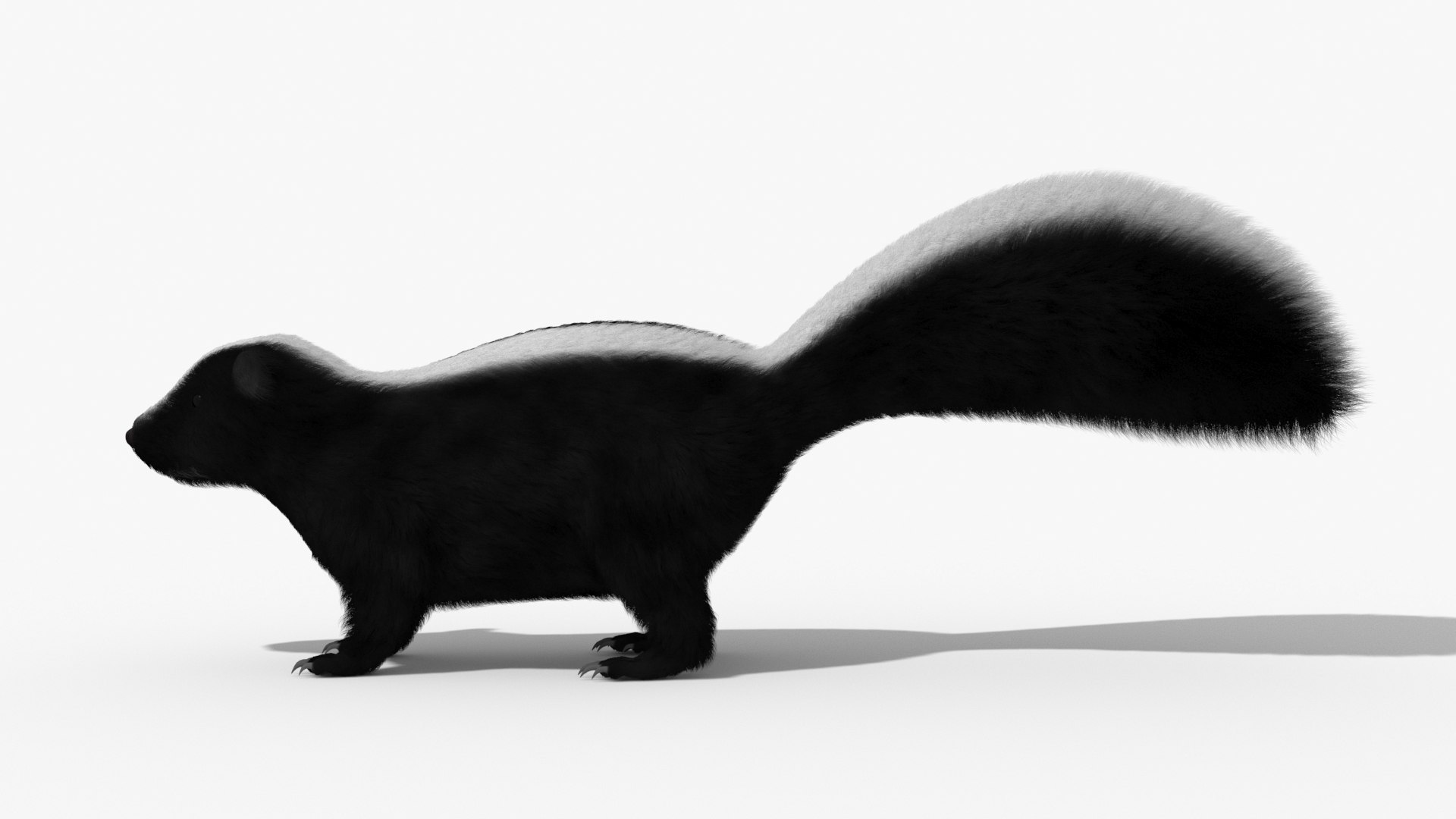 Skunk Animal 3d model 3D model https://p.turbosquid.com/ts-thumb/uE/32NxzO/eW/skunkside001/jpg/1649409094/1920x1080/fit_q87/7714631c66158a7784fd39f69e339fec1a086a99/skunkside001.jpg