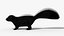Skunk Animal 3d model