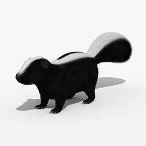 Skunk Animal 3d model 3D model