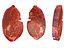 Beef Steak Raw Meat