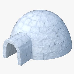 igloo 3D model