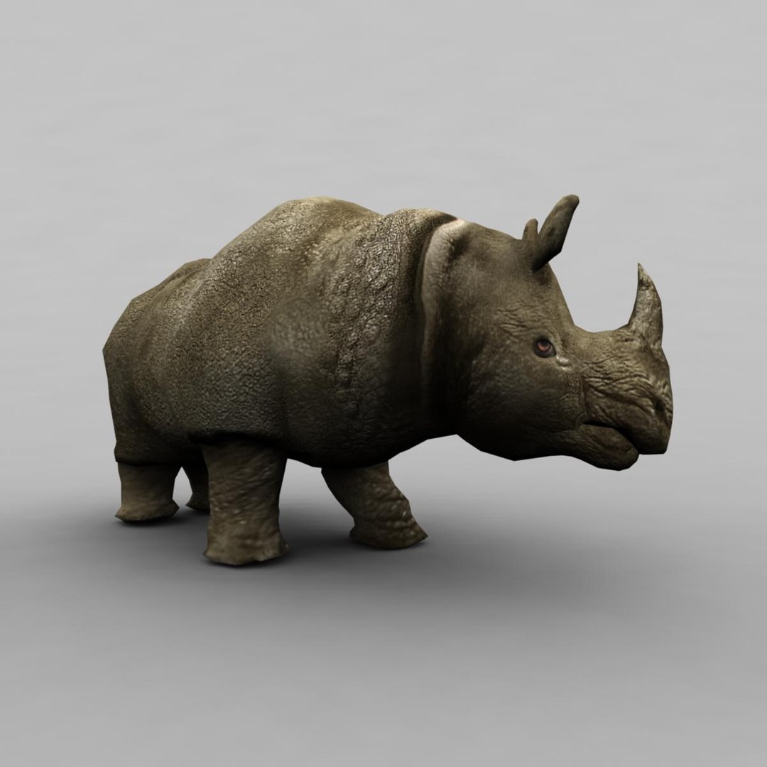 3d model rhino https://p.turbosquid.com/ts-thumb/uE/MZh1Cq/b14irVfX/image_2/jpg/1473326498/1920x1080/fit_q87/e481160808e0c5a0a1f7dd9edb00eca330d5efda/image_2.jpg
