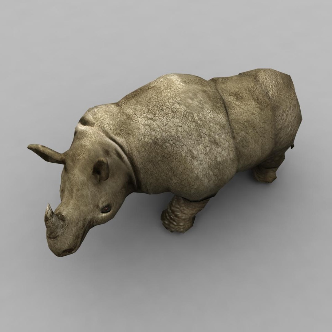 3d model rhino https://p.turbosquid.com/ts-thumb/uE/MZh1Cq/sVpqoNnD/image_4/jpg/1473326498/1920x1080/fit_q87/f12ad613fef90dec55ea57eec41019589ca03ec0/image_4.jpg