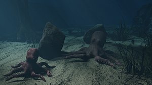 Octopus 3D