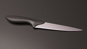 Small Kitchen knife