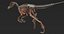 skeletons carnivorous dinosaurs allosaurus 3D model