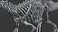 skeletons carnivorous dinosaurs allosaurus 3D model