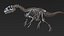 skeletons carnivorous dinosaurs allosaurus 3D model