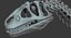 skeletons carnivorous dinosaurs allosaurus 3D model