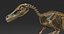 skeletons carnivorous dinosaurs allosaurus 3D model