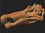 skeletons carnivorous dinosaurs allosaurus 3D model
