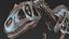 skeletons carnivorous dinosaurs allosaurus 3D model