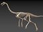 skeletons carnivorous dinosaurs allosaurus 3D model