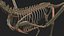 skeletons carnivorous dinosaurs allosaurus 3D model