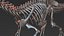 skeletons carnivorous dinosaurs allosaurus 3D model