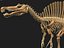 skeletons carnivorous dinosaurs allosaurus 3D model