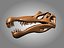 skeletons carnivorous dinosaurs allosaurus 3D model