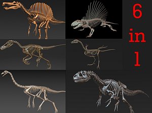 skeletons carnivorous dinosaurs allosaurus 3D model