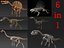 skeletons carnivorous dinosaurs allosaurus 3D model