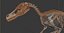 skeletons carnivorous dinosaurs allosaurus 3D model