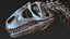 skeletons carnivorous dinosaurs allosaurus 3D model
