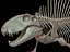 skeletons carnivorous dinosaurs allosaurus 3D model