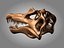 skeletons carnivorous dinosaurs allosaurus 3D model