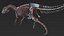 skeletons carnivorous dinosaurs allosaurus 3D model