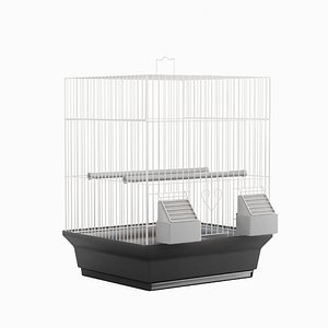 3D model Birdcage Silver