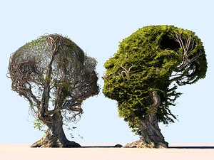 3D model tree head scan