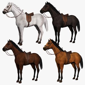 Horse model