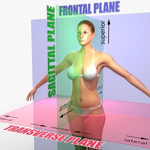 maya planes body female rigged