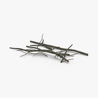 Fallen Tree Branches 02