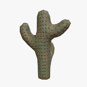 3D Castus model for unity engine