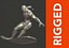 Attrezzatura Silver Surfer