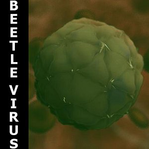 black beetle virus 3d model