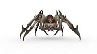 Spider