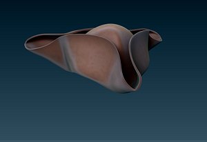pirate hat - corsair 3D