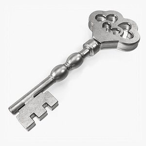 Key Silver 14 3D