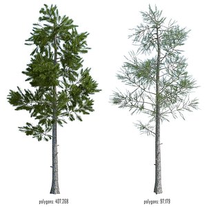 3D pine t model