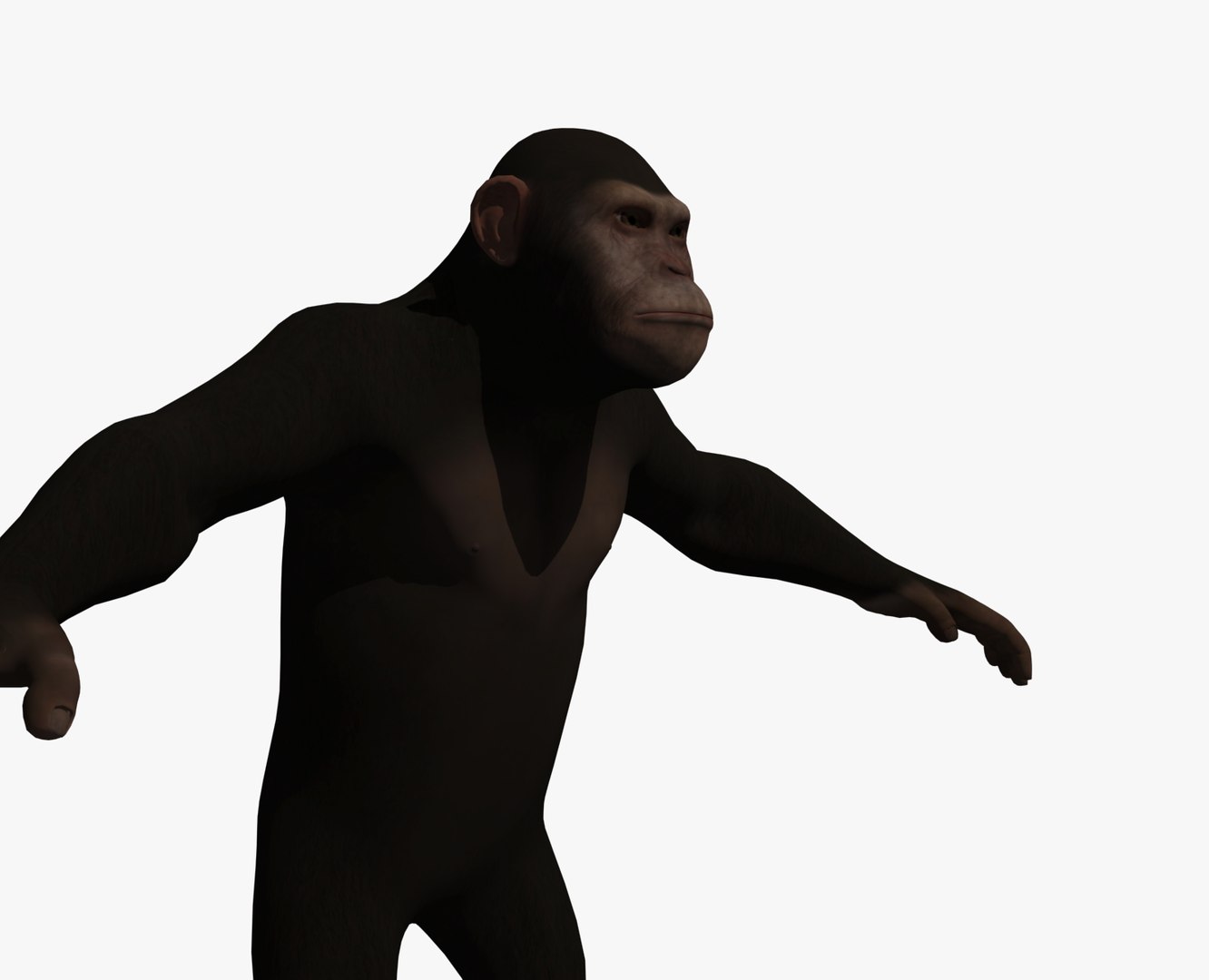 3d ape