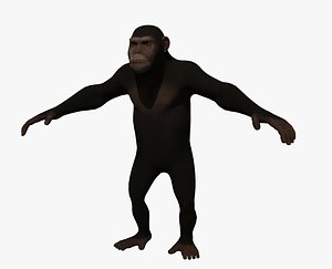3d ape