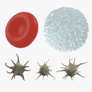 blood cells 3D