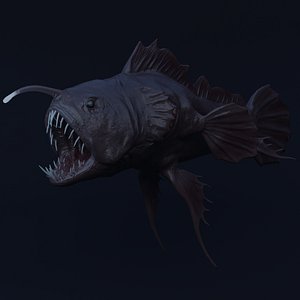 Angler Fish 3D model