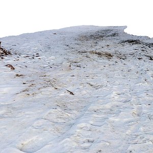 maya scan snow