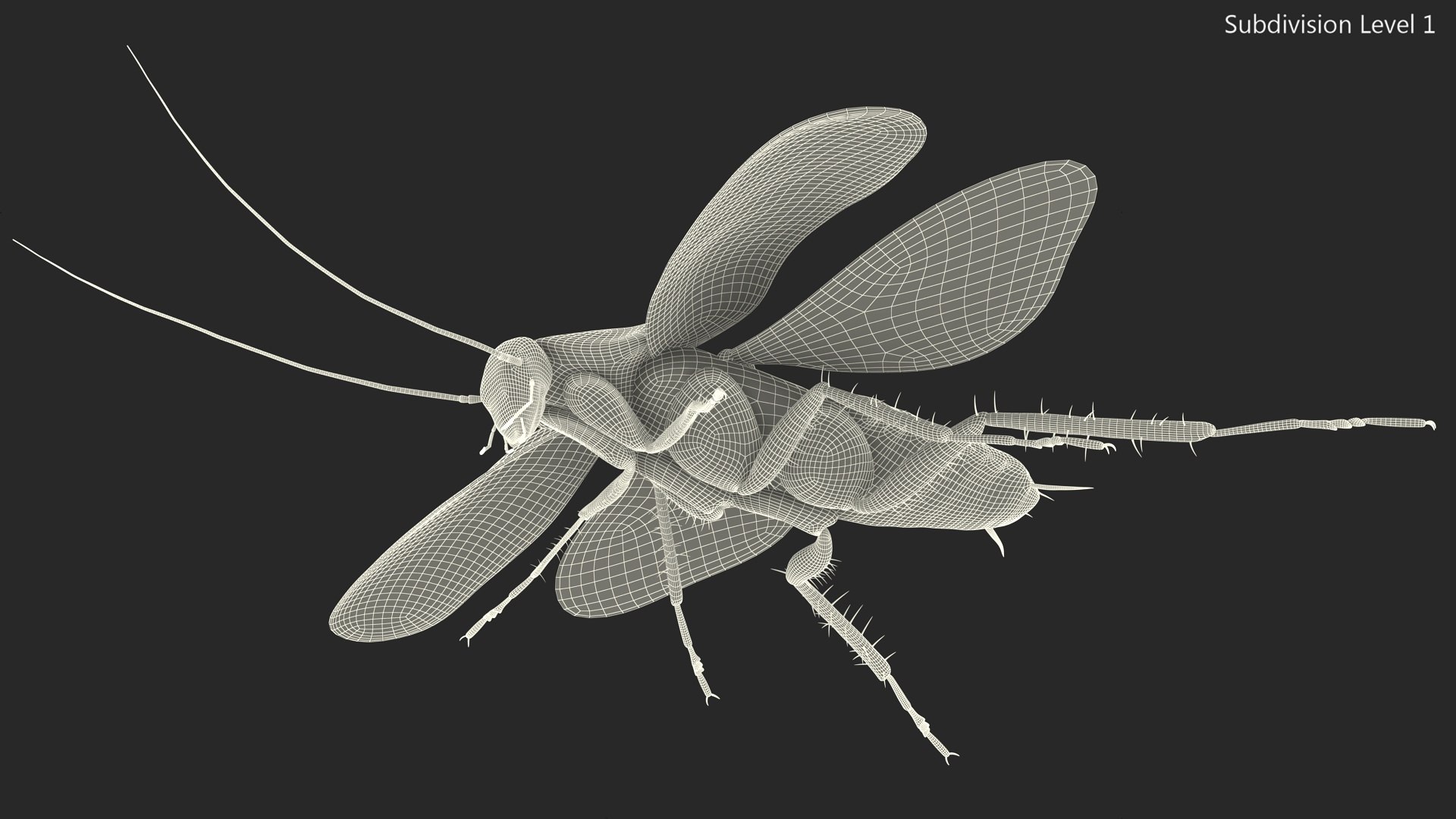 3D model Flying Cockroach Rigged https://p.turbosquid.com/ts-thumb/uG/RVgzvl/61/flyingcockroachriggedmb3dmodel031/jpg/1684484990/1920x1080/fit_q87/6c83761c3686663489ace123994b834b9a3cb040/flyingcockroachriggedmb3dmodel031.jpg